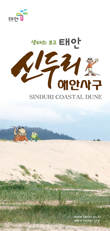 파도리 해식동굴+만리포 전망대+한국의 사하라사막 신두리 해안사구+금강보행교